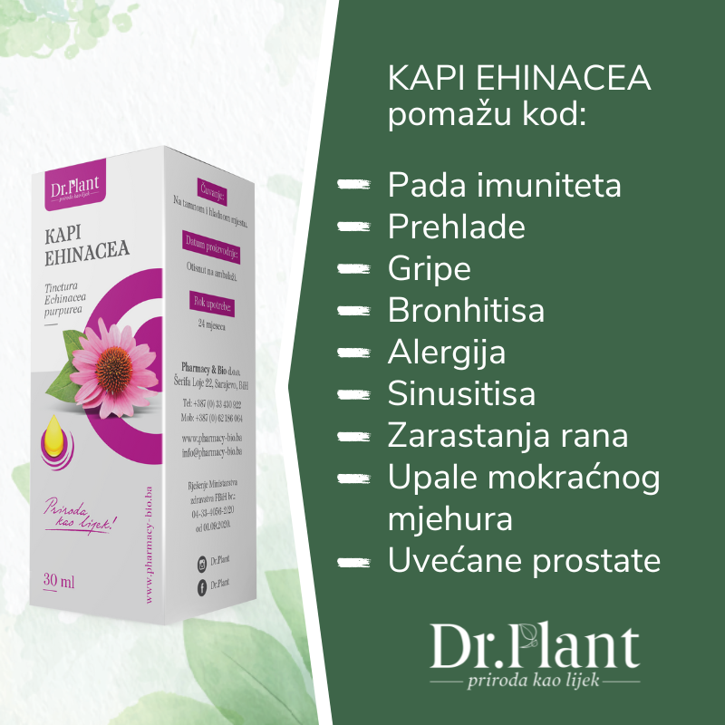 Dr. Plant kapi ehinaceae (Echinaceae purpureae) 30 ml - Image 2
