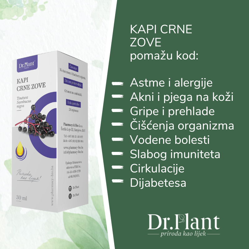 Dr. Plant kapi crne zove (Sambucus nigra) 30ml - Image 2
