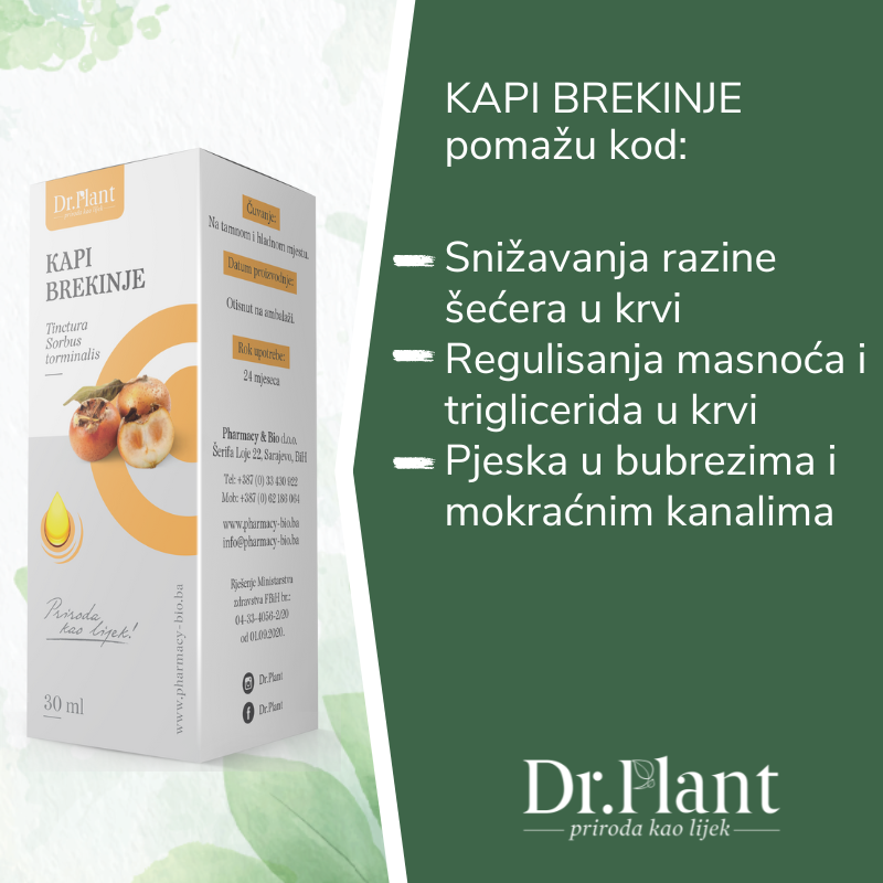 Dr. Plant kapi brekinje (Sorbus torminalis) 30 ml - Image 2