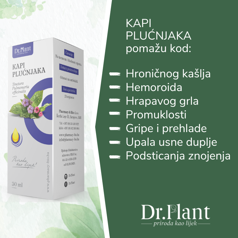 Dr. Plant kapi plućnjaka (Pulmonaria officinalis) 30 ml - Image 2