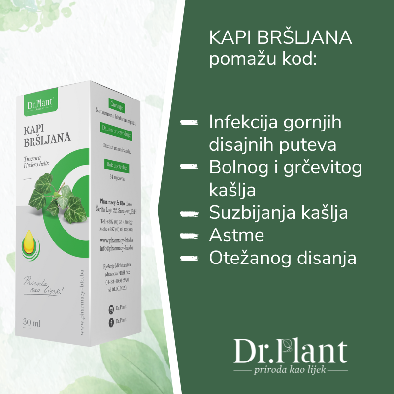 Dr. Plant kapi bršljana (Hedera helix) 30ml - Image 2