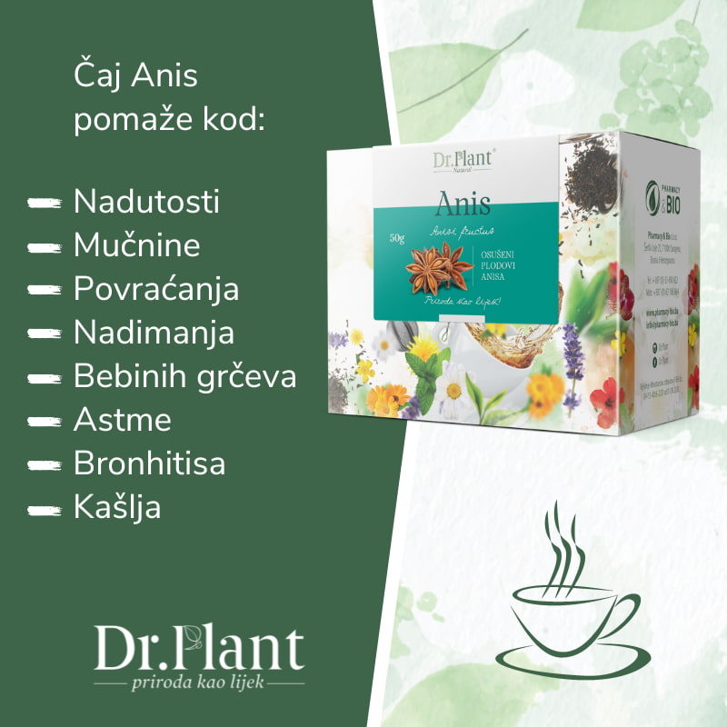 Dr. Plant čaj anis plod (Anisi fructus) 50g - Image 2