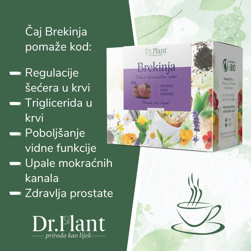 Dr. Plant čaj brekinja (Sorbus torminalis cortex) 50g - Image 2