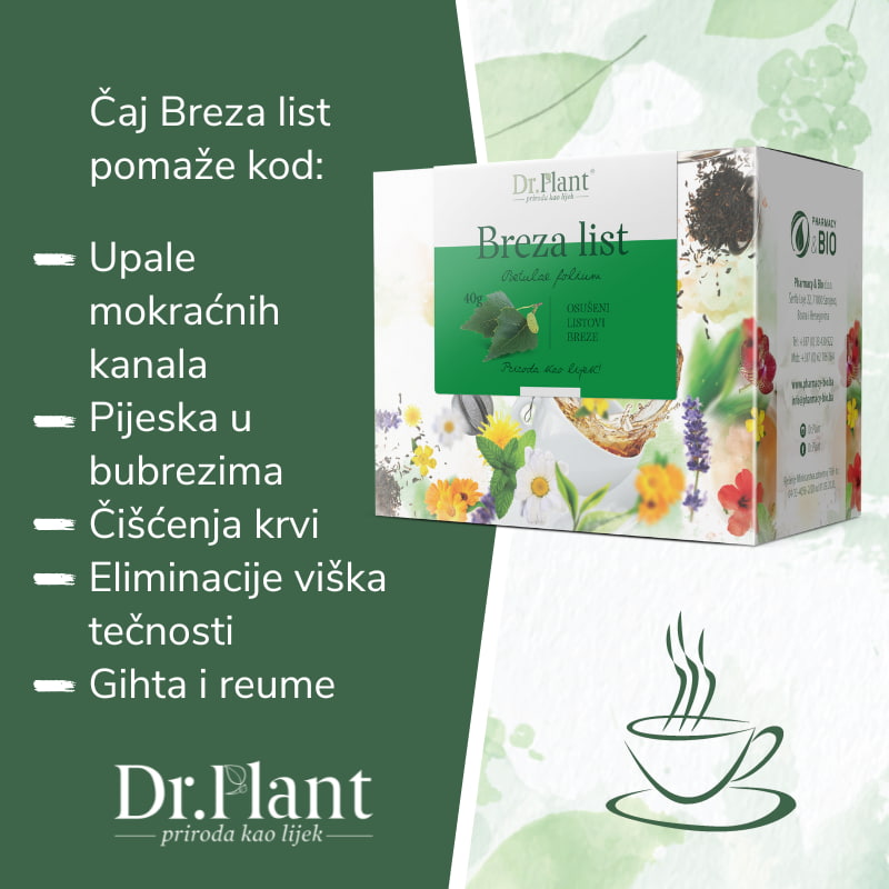 Dr. Plant čaj breza list (Betulae folium) 40g - Image 2