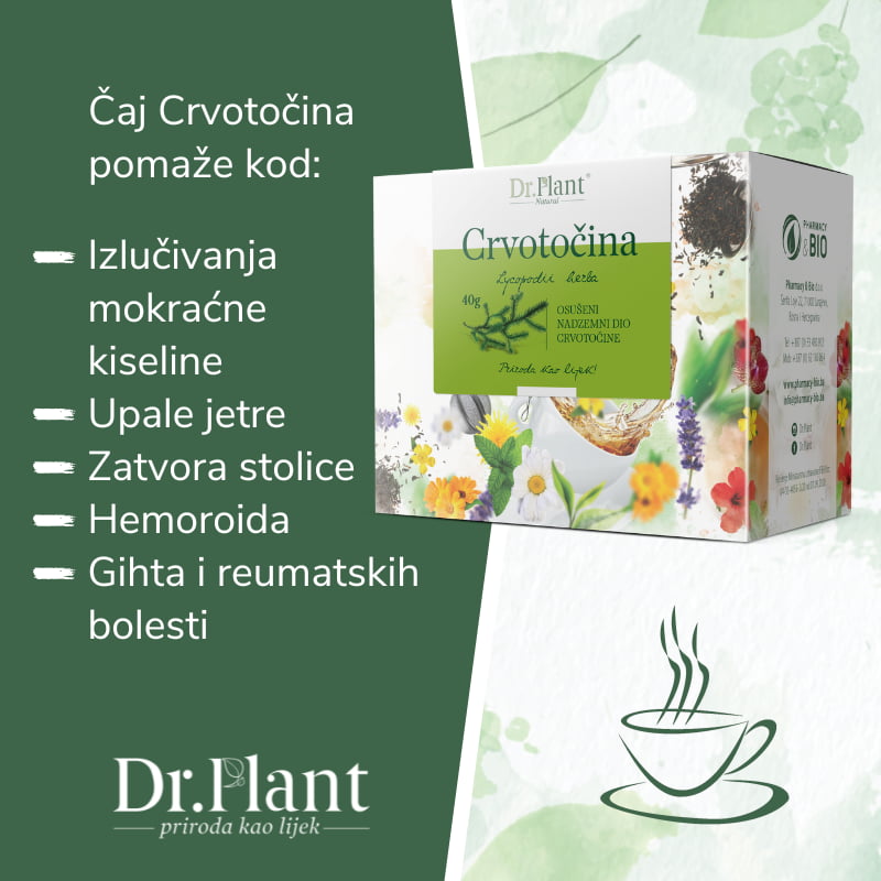 Dr. Plant čaj crvotočina (Lycopodii herba) 40g - Image 2