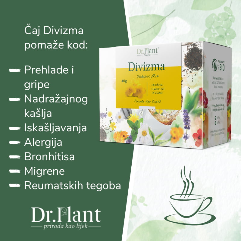 Dr. Plant čaj divizma (Verbasci flos) 40g - Image 2