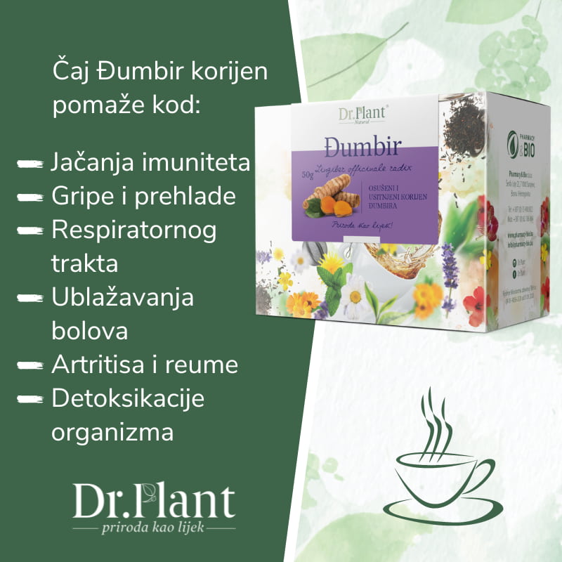 Dr.Plant čaj đumbir korijen (Zingiber officinale radix) 50g - Image 2