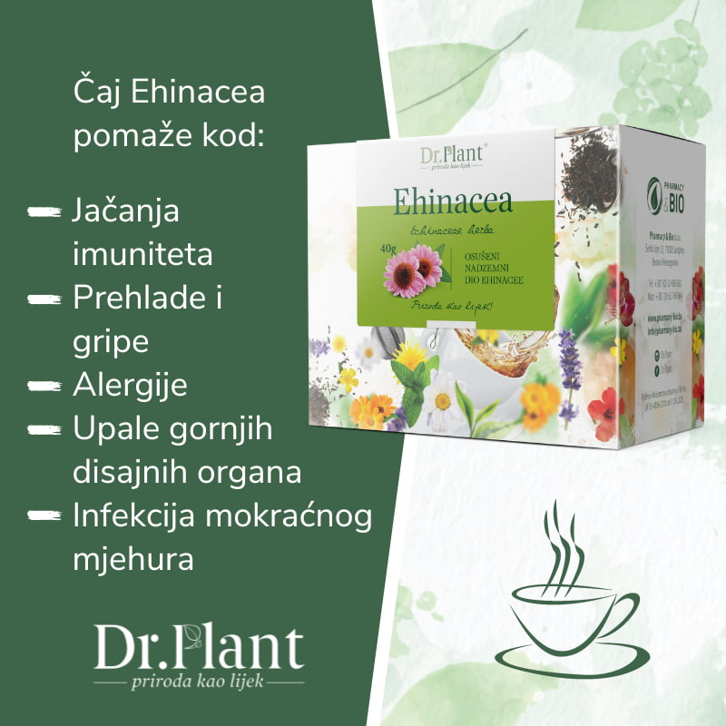 Dr. Plant čaj ehinacea (Echinaceae herba) 40g - Image 2