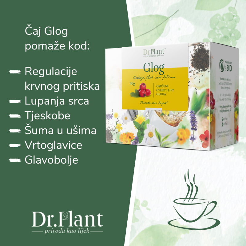 Dr. Plant čaj glog (Crategi flos cum folium) 40g - Image 2