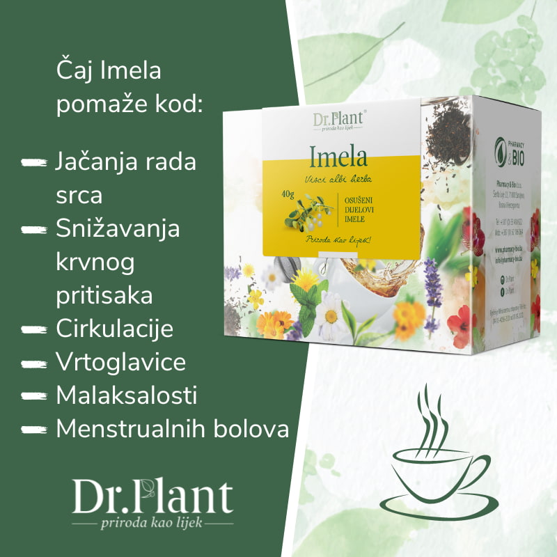 Dr. Plant čaj imela (Visci albi herba) 40g - Image 2