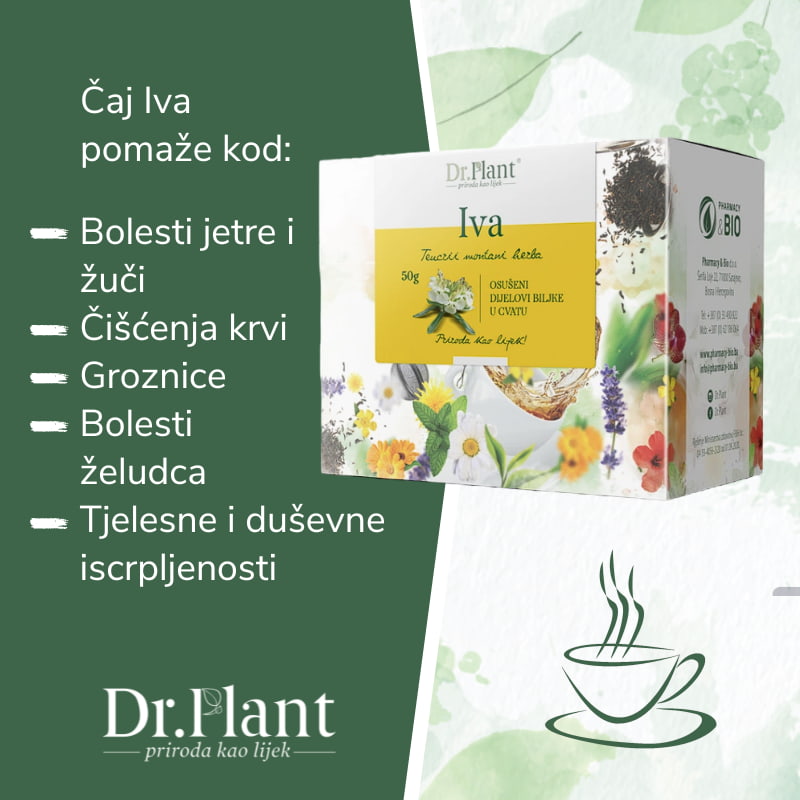 Dr. Plant čaj iva (Teucrii montani herba) 50g - Image 2