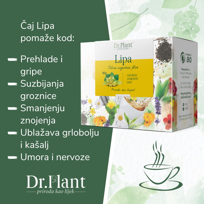Dr. Plant čaj lipa (Tiliae argenteae flos) 40g - Image 2
