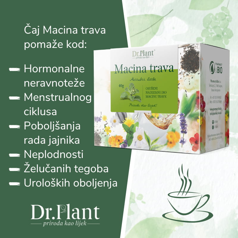 Dr. Plant čaj macina trava (Marrubi herba) 40g - Image 2