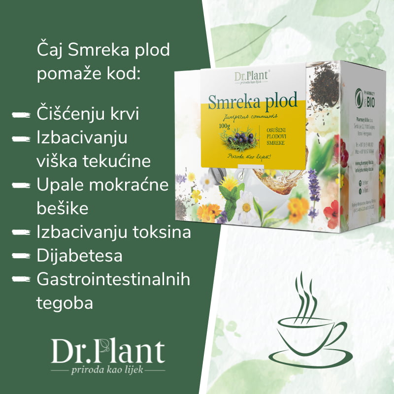 Dr. Plant čaj smreka plod (Juniperus communis )100g - Image 2