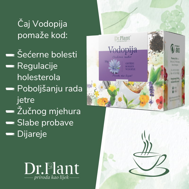 Dr. Plant čaj vodopija (Cichorii radix) 50g - Image 2