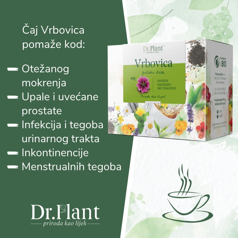 Dr. Plant čaj vrbovica (Epilobii herba) 40g - Image 2