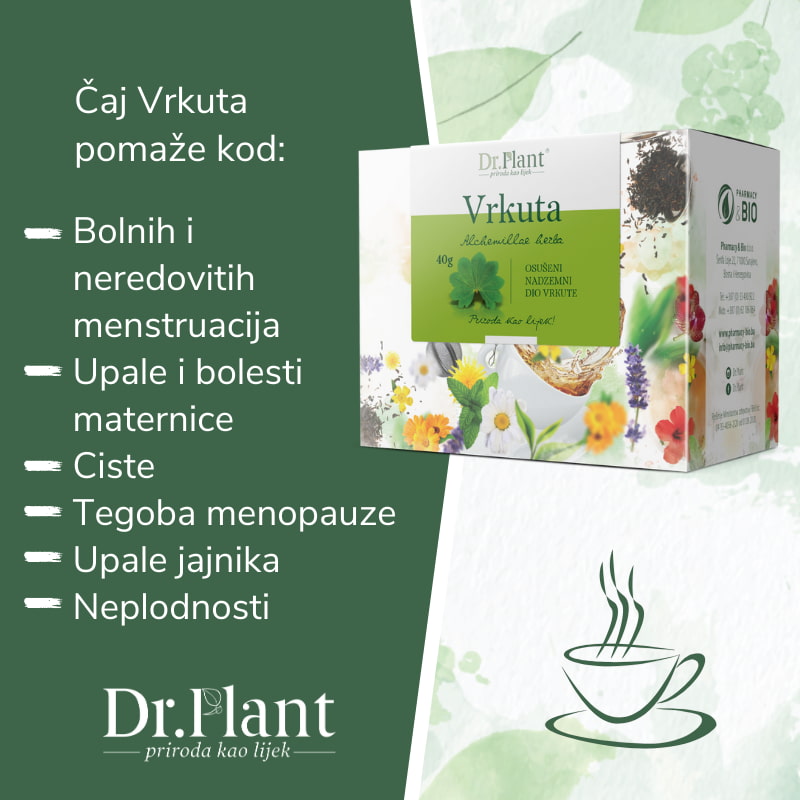 Dr. Plant čaj vrkuta (Alchemillae herba) 40g - Image 2