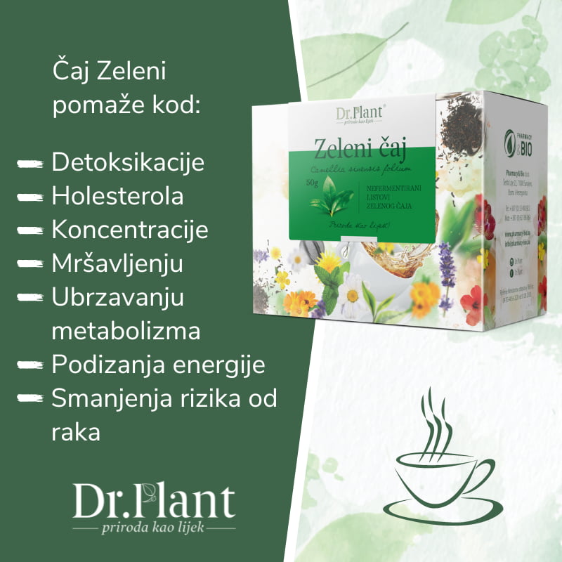 Dr. Plant zeleni čaj ( Camellia sinensis folium ) 50g - Image 2