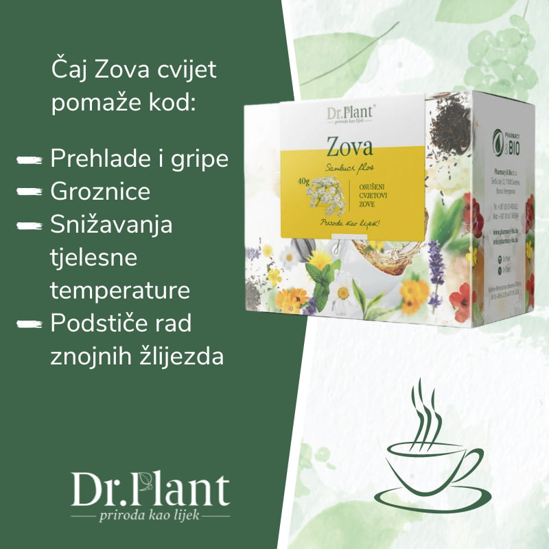 Dr. Plant čaj zova cvijet (Sambuci flos) 40g - Image 2