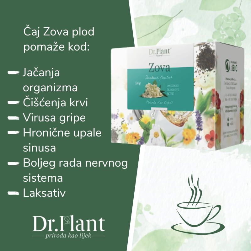 Dr. Plant čaj zova plod (Sambuci fructus) 50g - Image 2