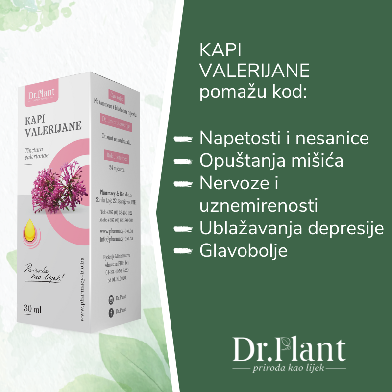 Dr. Plant kapi valerijane (Valeriana officinalis) 30ml - Image 2