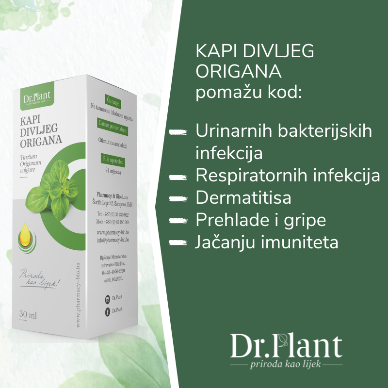 Dr. Plant kapi divljeg origana (Origanum vulgare) 30 ml - Image 2
