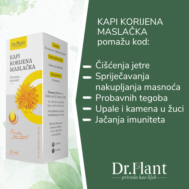 Dr. Plant kapi korijena maslačka ( Taraxacum officinale) 30ml - Image 2