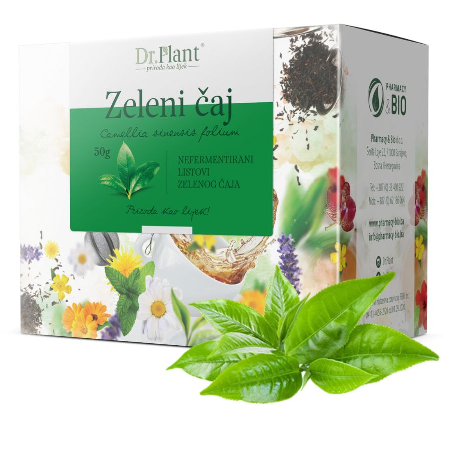 Dr. Plant zeleni čaj ( Camellia sinensis folium ) 50g - Image 3