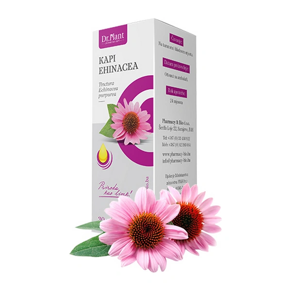 Dr. Plant kapi ehinaceae (Echinaceae purpureae) 30 ml - Image 3