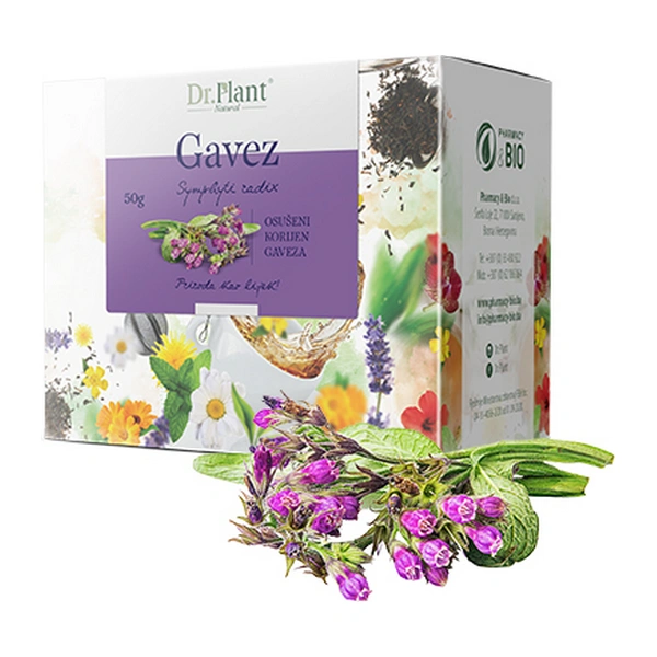 Dr. Plant čaj gavez korijen (Symphyti radix) 50g - Image 3