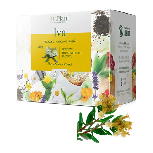 Dr. Plant čaj iva (Teucrii montani herba) 50g - Image 3