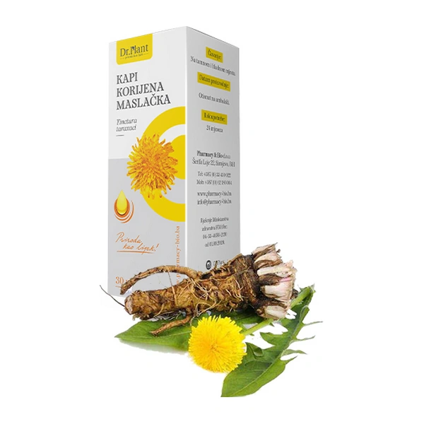 Dr. Plant kapi korijena maslačka ( Taraxacum officinale) 30ml - Image 3