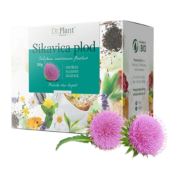 Dr. Plant čaj sikavica plod (Silybum marianum fructus) 50g - Image 3