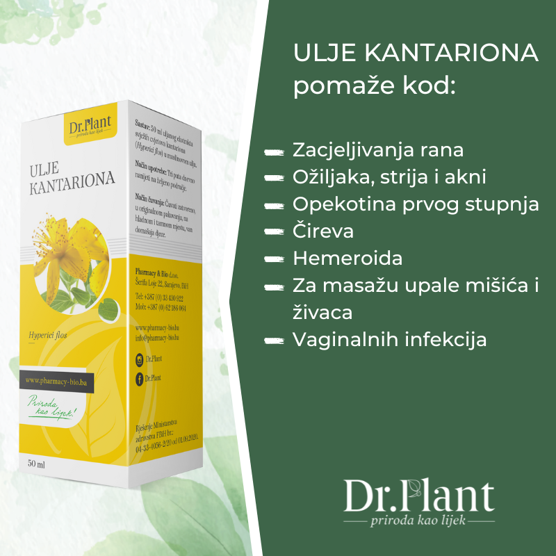 Dr. Plant ulje kantariona (Hyperici flos) 50ml - Image 2