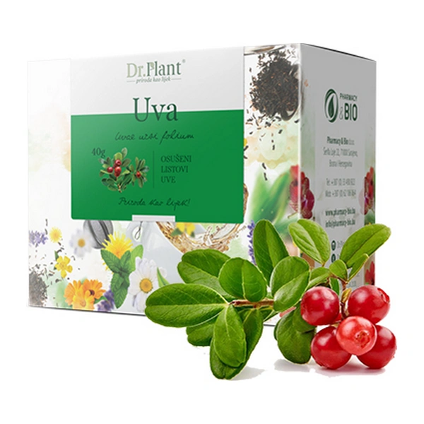 Dr. Plant čaj uva (Uvae ursi folium) 40g - Image 3