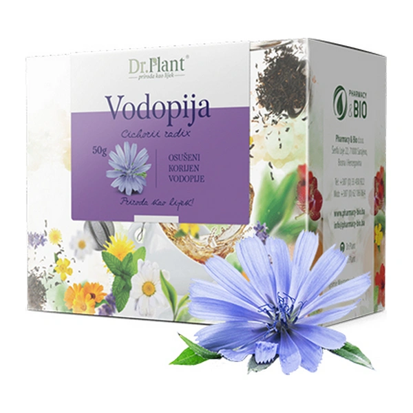 Dr. Plant čaj vodopija (Cichorii radix) 50g - Image 3
