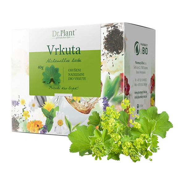 Dr. Plant čaj vrkuta (Alchemillae herba) 40g - Image 3