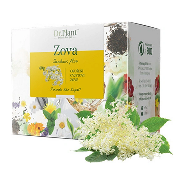 Dr. Plant čaj zova cvijet (Sambuci flos) 40g - Image 3