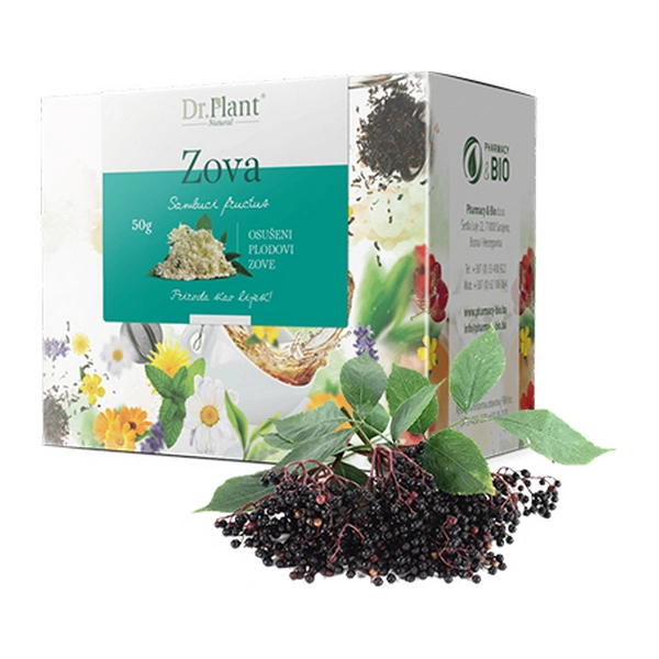 Dr. Plant čaj zova plod (Sambuci fructus) 50g - Image 3